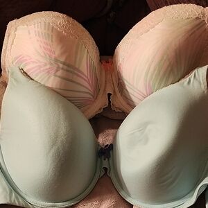 Victoria's Secret Mint and Pastel Lace Bra 34ddd